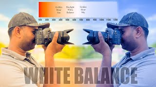 Color Temperature Explained | What is White Balance in Photography