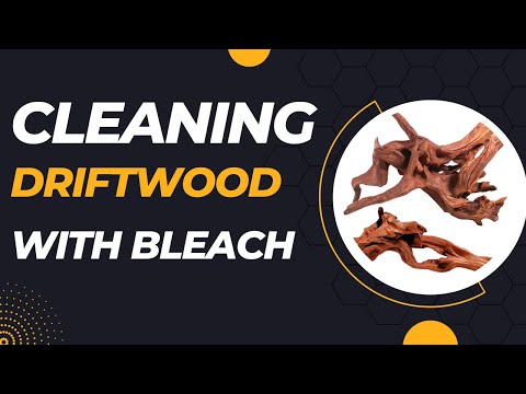 Driftwood Cleaning and Bleaching | Complete Tutorial