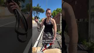 Venite con me e il mio cane guida Pancake verso il parco che vi spiego i comandi-puntata intera ￼