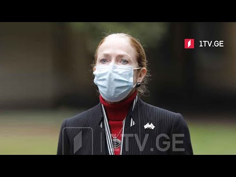 საკონსტიტუციო ცვლილებები - კელი დეგნანის კომენტარი