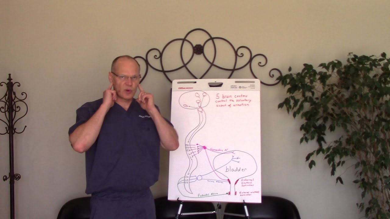 Overactive Bladder Five Ways to Help Naturally - YouTube