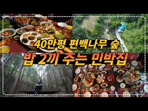 충북 영동ㅣ화려한 동서양 음식을 맛 볼 수 있는 40만평 편백나무 숲에서 숙박 +  2끼 식사 + 숲체험까지 가능한 민박집