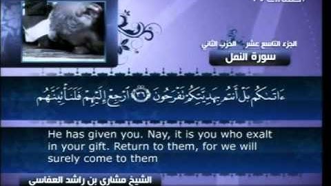 سورة النمل 27 Surah An Naml