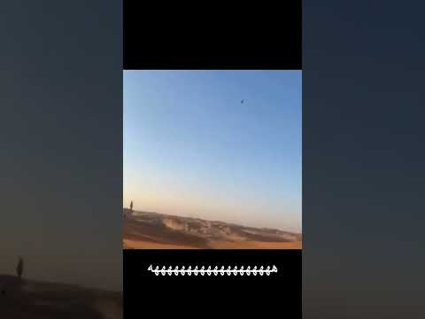 الصقر بدال ما يصيده الطير اللي معه صدم في راعيه