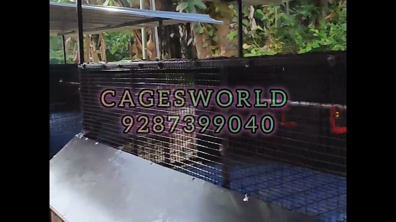 6*4&,8*4 ന്റെ ഹൈടെക് കോഴിക്കൂടുകൾ 