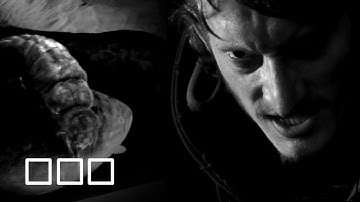 Primeval Tribute - Narcissistic Cannibal [2015]