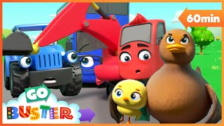 Learn Road Safety: Duck Crossing  | Go Learn With Buster | Videos for Kids