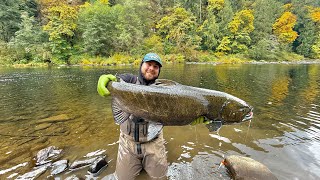 Small River Oregon Coast BANK FISHING for King Salmon 