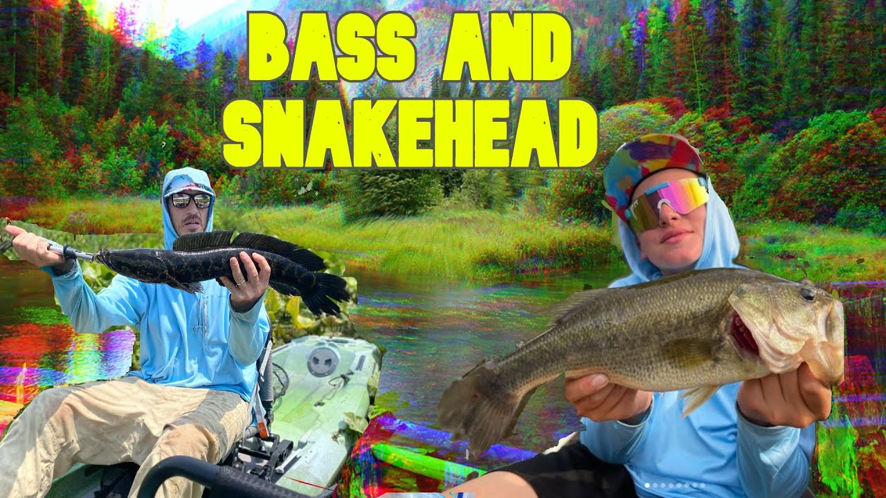 Bass, Snakehead, and Bowfin Fishing in South Jersey!! Great Creek Fishing