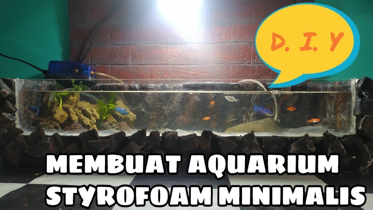 membuat AQUARIUM STYROFOAM untuk hiasan dalam rumah 