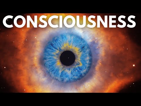 The Greatest Scientific Theories On Consciousness You Need to Know