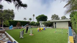 Agility — Jumpers — ST/P1 (B) 40X60 (#111002) MODULE 1