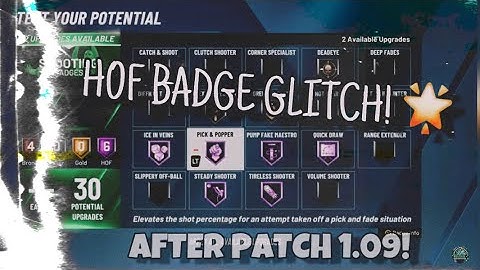 *AFTER PATCH* INSTANT BADGE GLITCH IN NBA2K20! *TUTORIAL* ALL BADGES INSTANTLY IN SECS!!! (PS4/XBOX)