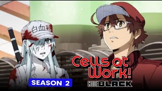 Cells At Work Code Black Season 2 Is It Released Or It Got Cancelled - Box Office Release