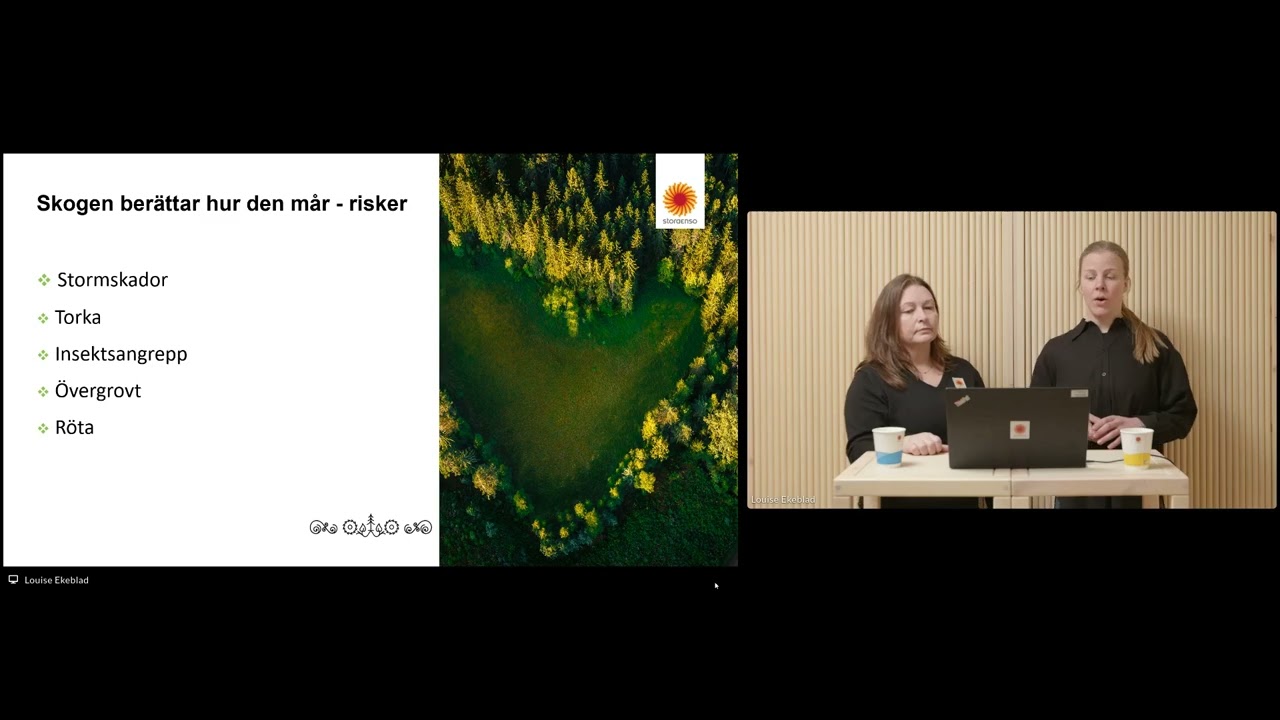 Webinar  - Växtpotentialen i din skog | Stora Enso Skog