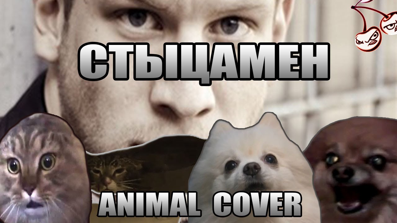 Иван Дорн - Стыцамен (Animal Cover)