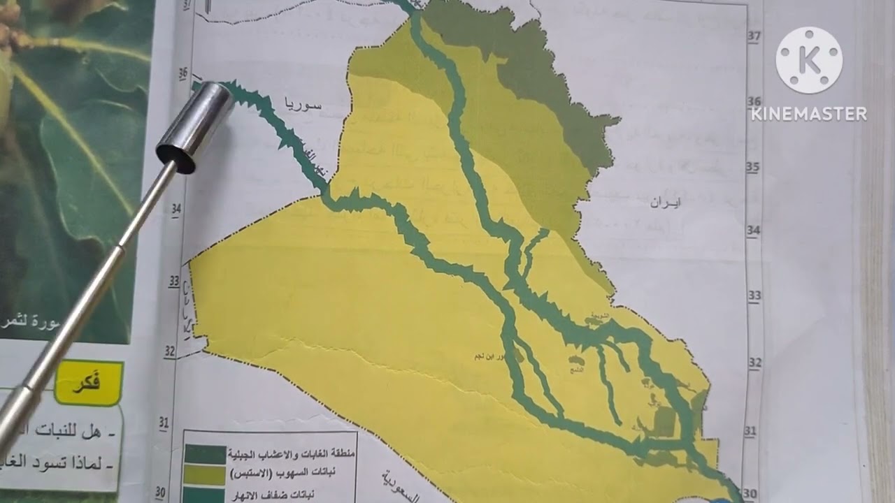 النبات الطبيعي + النطاقات النباتية في العراق