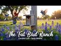 The Fat Bird Ranch is Open for Business