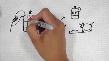 Increasing the Efficiency of Bioethanol Production