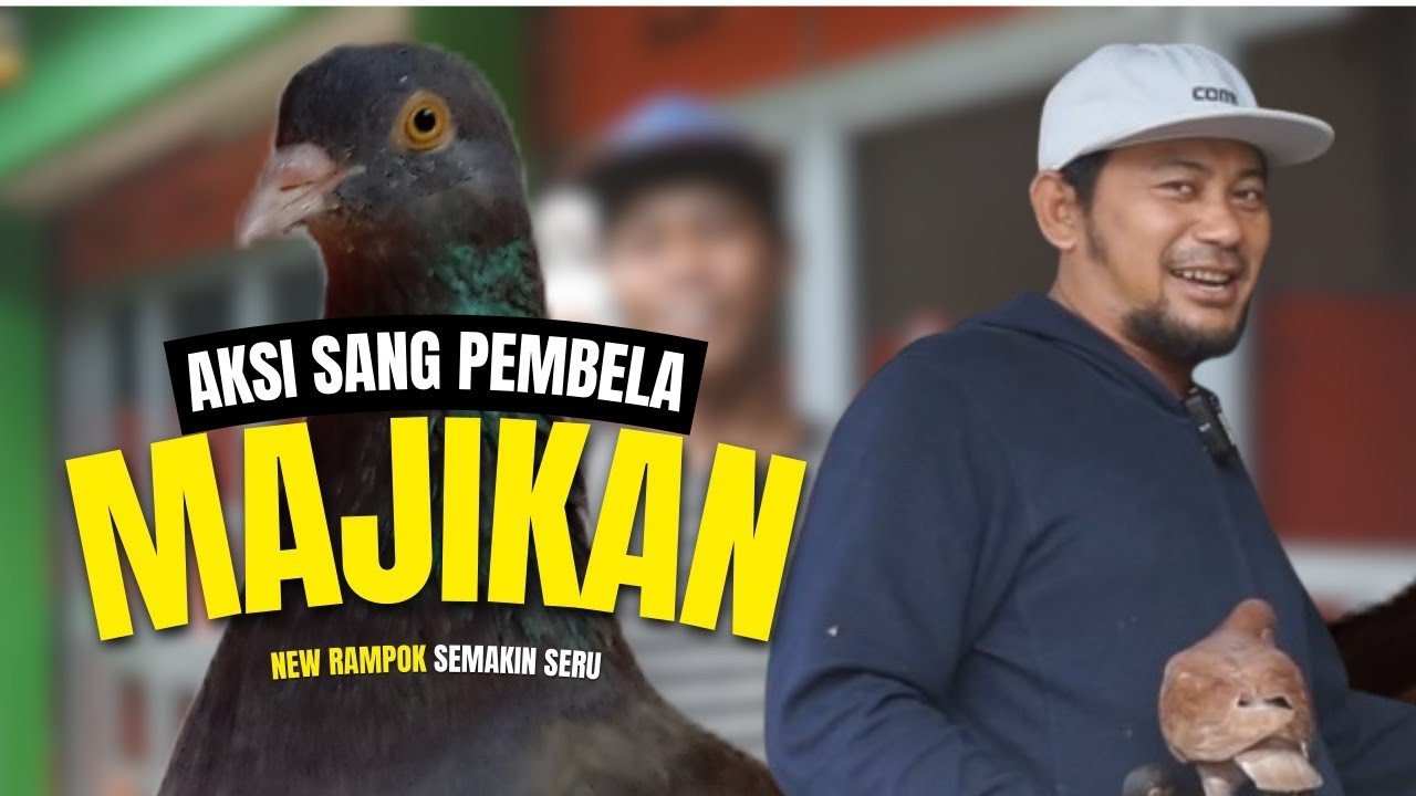 AKSI SANG PEMBELA MAJIKAN - NEW RAMPOK - YouTube