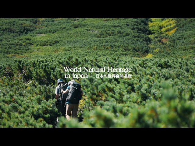 世界自然遺産の1日をめぐる｜日本の世界自然遺産 Through a Day at