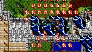 Blitsz Tibia - Part 7