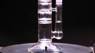 Glass House Labs - THG Quadruple Disc Perc
