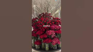 #اكسبلور #المصحف #إسلام_صبحي #لايك #lifeisbutadream #تلاوة_خاشعة