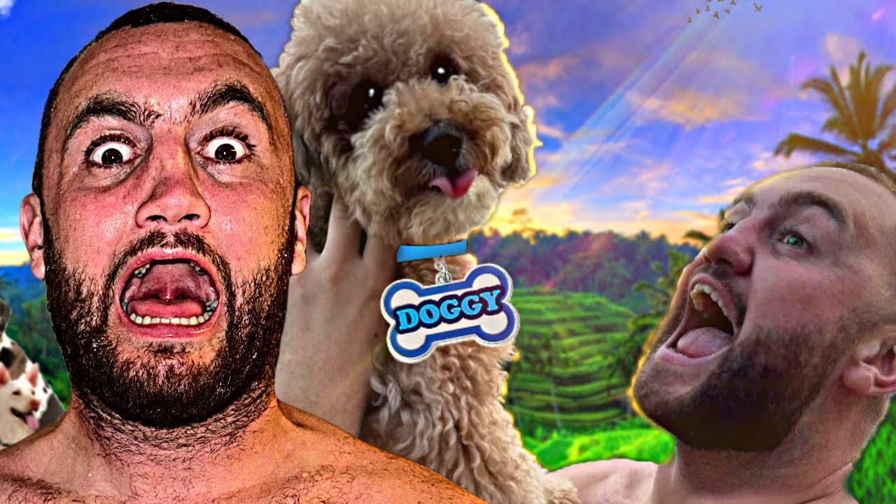 Rescuing and Adopting A Street Dog In Bali!