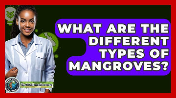 What Are The Different Types Of Mangroves? - Earth Science Answers