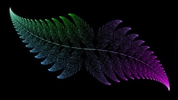 Barnsley fern experiment - software process I