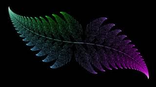 Barnsley fern experiment - software process I