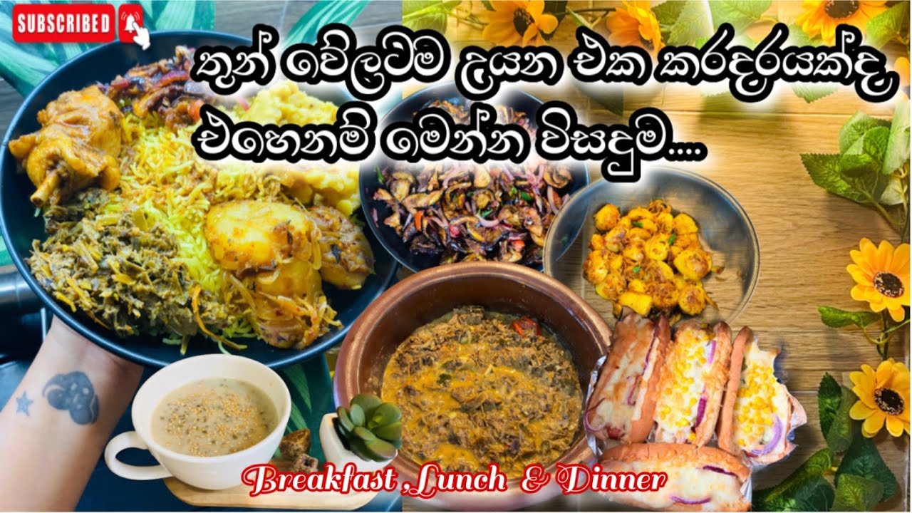 මේ විදියට හදා ගත්තනම් තුන් වේලම සතුටින් /Breakfast ,Lunch & Dinner Recipe /Sinhala/Fr.Diaries 🇫🇷
