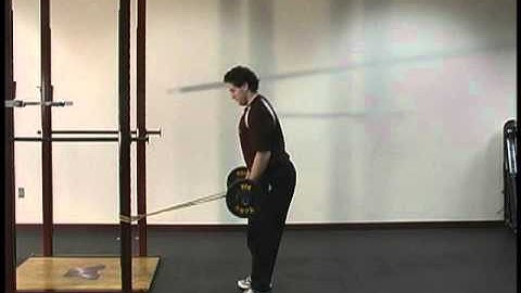 Dual Action Bicep Curls