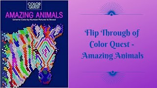 Flip Through of Color Quest - Amazing Animals
