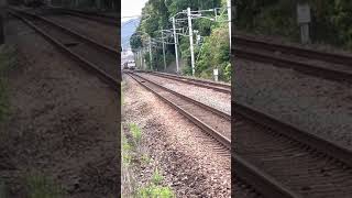 EF81-501 早朝　通過  前面，側面とも切抜き文字を右側寄せで取り付け，前面飾り帯の廃止，前面中央部のステップの上昇などが特徴　昭和63年度新製枠で日立製作所にて製造　山内寛行　撮影