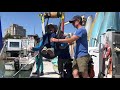 The Sailor: Bay Area Association for Disabled Sailors Offers Freedom | The Regulars