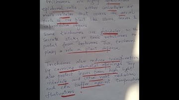 Trichomes in plants #neet #epidermis