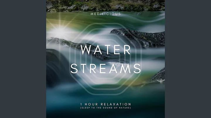 Calm Forest Stream Meditation