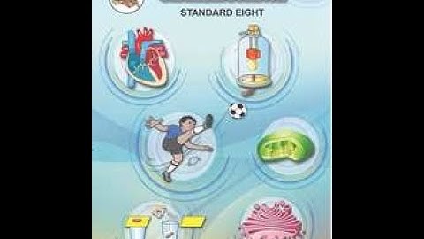 STD VIII / Science / Chapter 16 - Reflection of light (Part II)