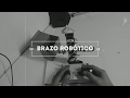 Mini Brazo Robótico