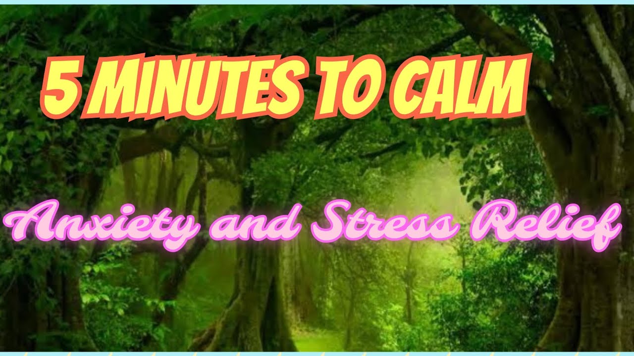 5 Minutes Guided Meditation for Anxiety and Stress Relief || Instant ...