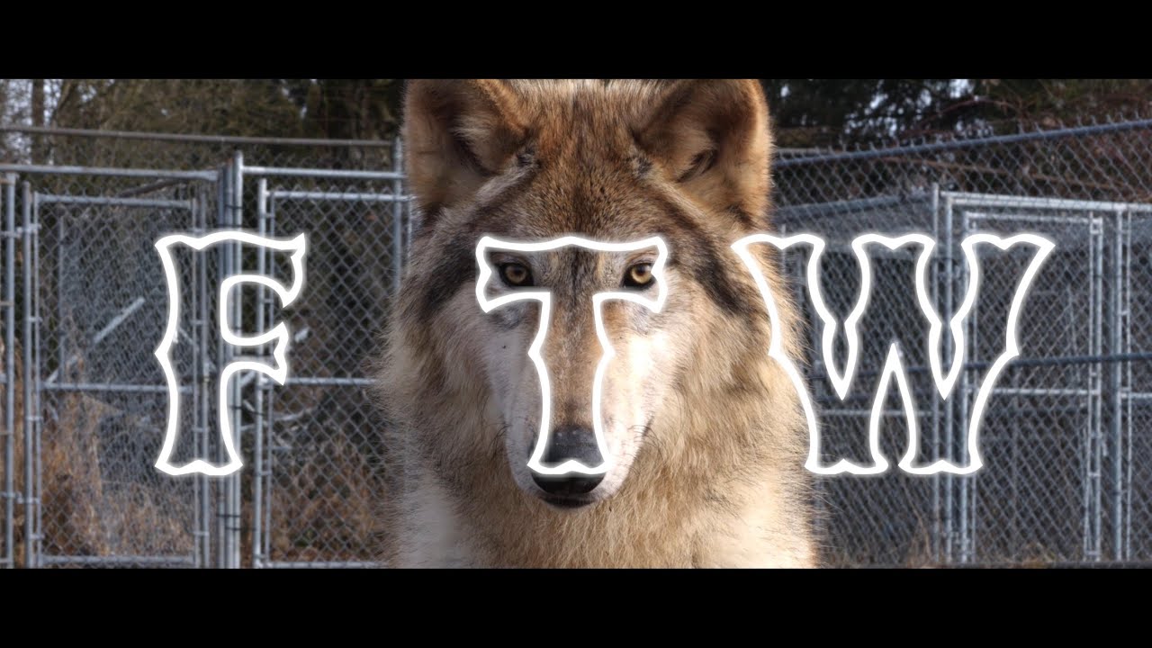 Watch Icarus - FTW on YouTube Watch Icarus - FTW on YouTube