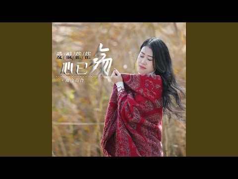 爱恨茫茫心已殇 (DJ默涵版)