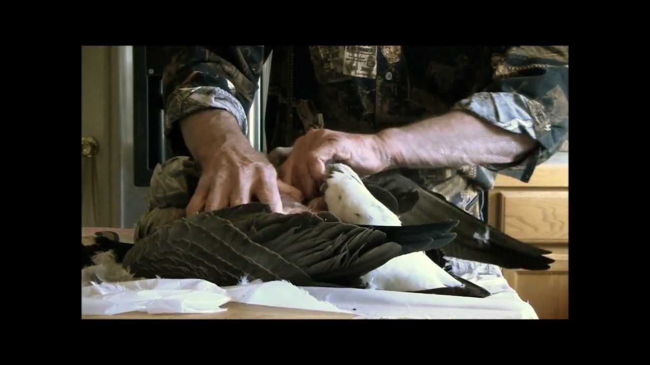 Dressing A Goose YouTube
