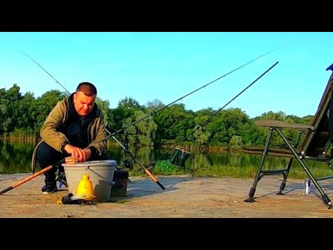 Видео: Рыбалка на Реке в Дождь. Весенний КАРАСЬ и 300 000 тыс. ПОДПИСЧИКОВ !!! СПАСИБО!!!