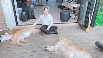 BTS WITH ANIMALS :)