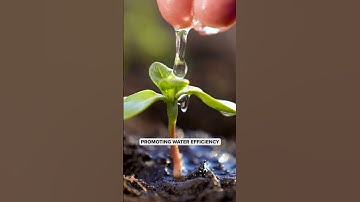 Sustainable Agriculture