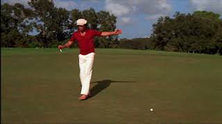 Caddyshack (1980)