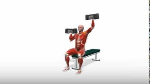 Exercise Videos- Alternating PowerBlock Shoulder Press -- Seated